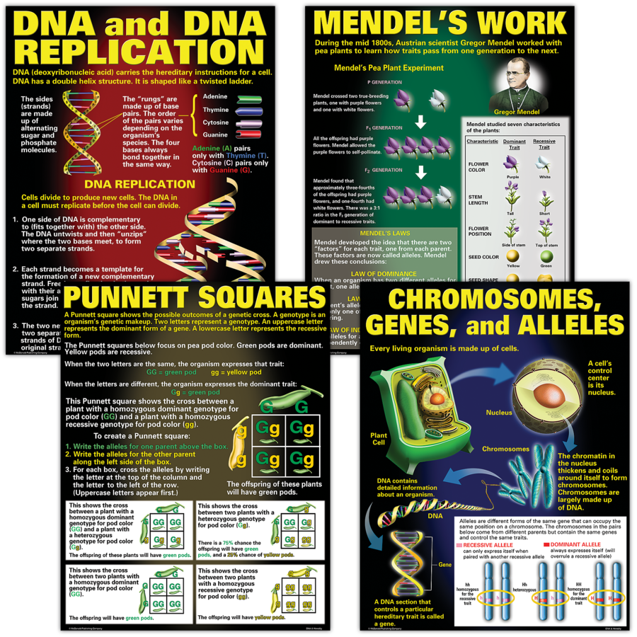 DNA & Heredity Poster Set